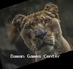 Character Guide